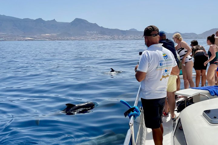 Most Famous Catamaran in Tenerife Island - Unlimited Drinks