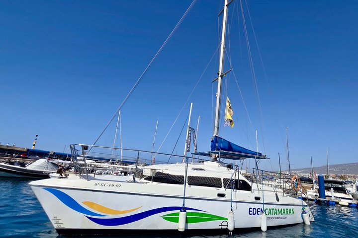 Most Famous Catamaran in Tenerife Island - Unlimited Drinks