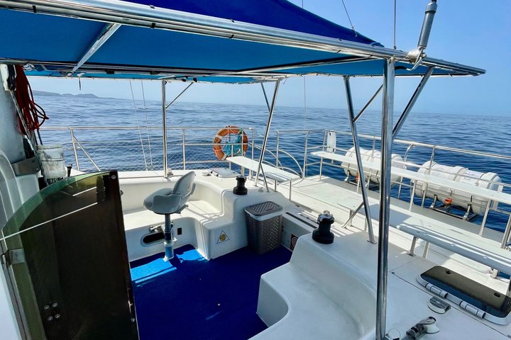 Most Famous Catamaran in Tenerife Island - Unlimited Drinks