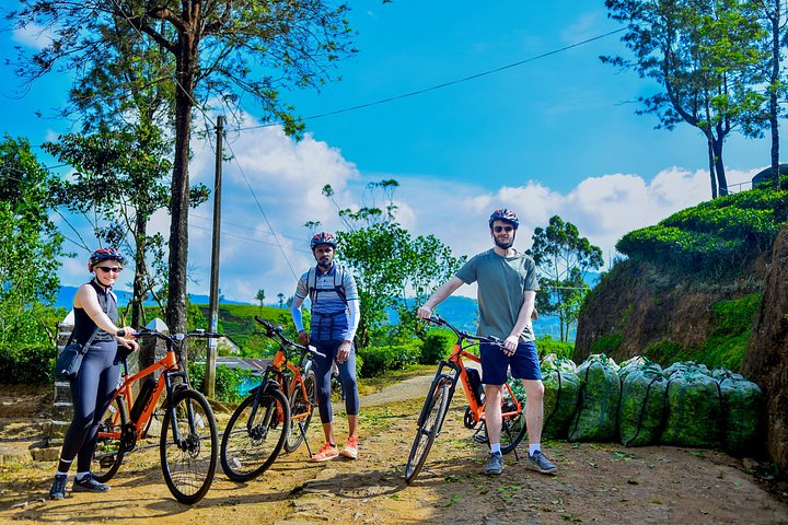 Tea Loops E-Biking