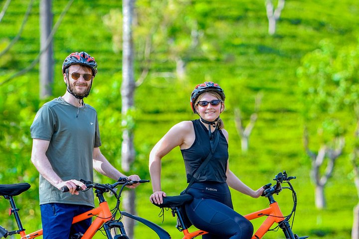 Tea Loops E-Biking
