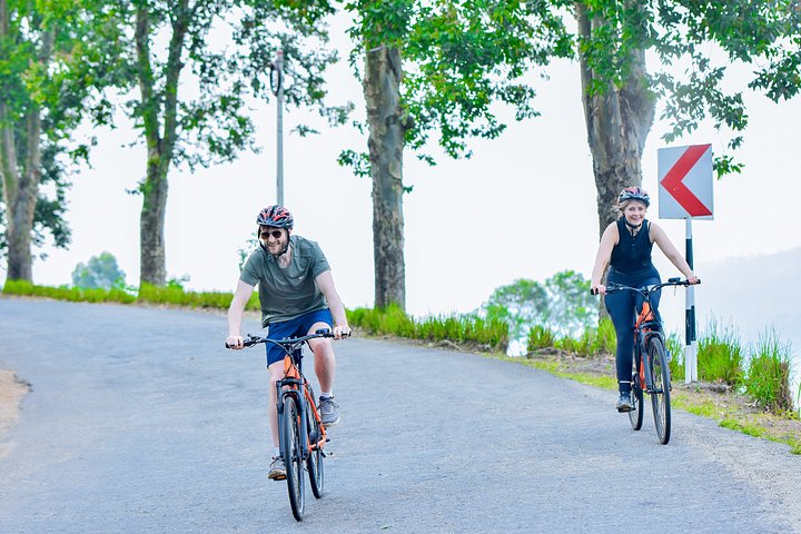 Tea Loops E-Biking