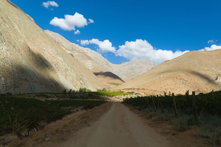 Alcohuaz Signature Wine Tasting