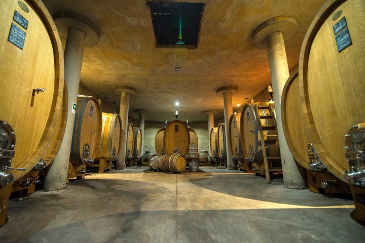 Wine and Mountain Experience
