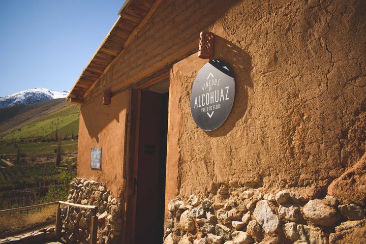 Tour Wineries From the Grape to the Cup