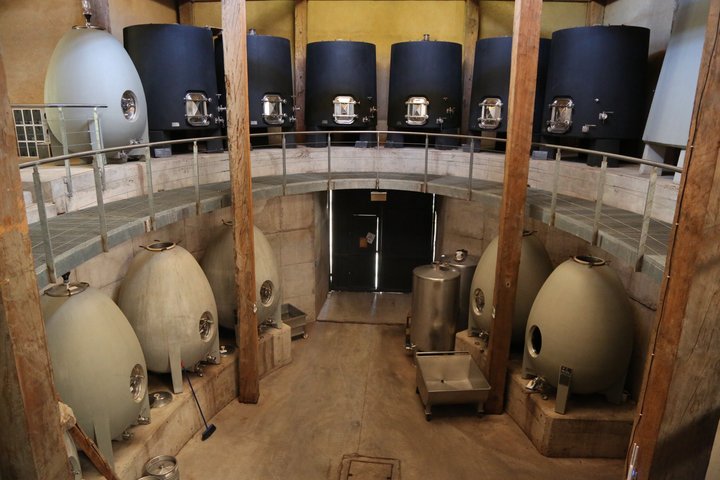 Tour Wineries From the Grape to the Cup