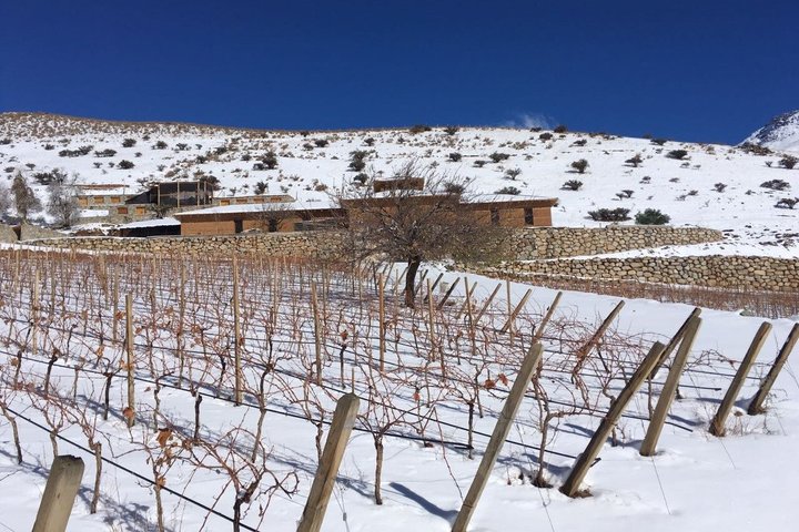 Wine and Mountain Experience