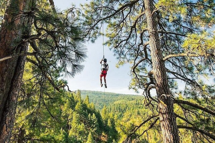 Lake Coeur d'Alene Zipline Tour