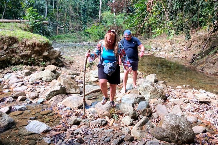 Caribbean Coast Highlights Hummingbirds, Waterfall and Beaches