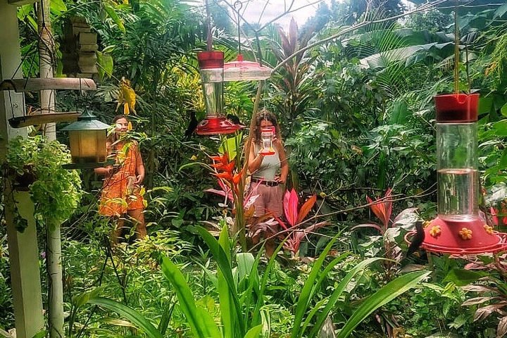 Caribbean Coast Highlights Hummingbirds, Waterfall and Beaches