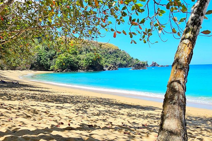 Caribbean Coast Highlights Hummingbirds, Waterfall and Beaches