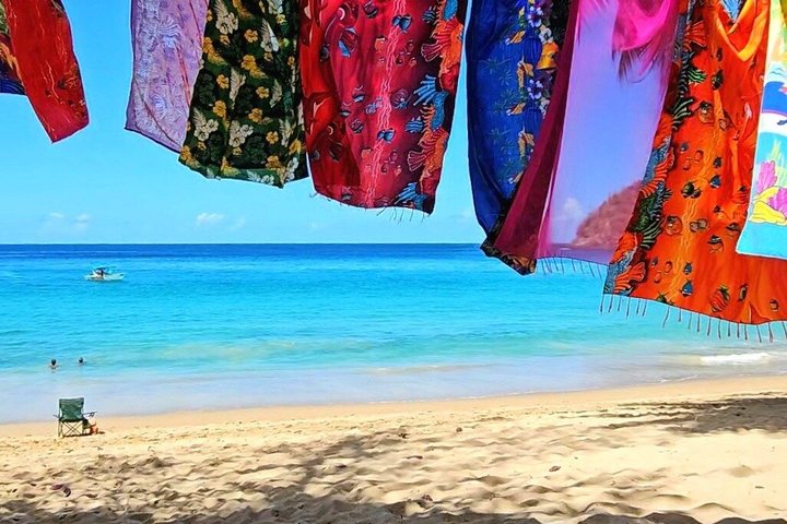 Caribbean Coast Highlights Hummingbirds, Waterfall and Beaches