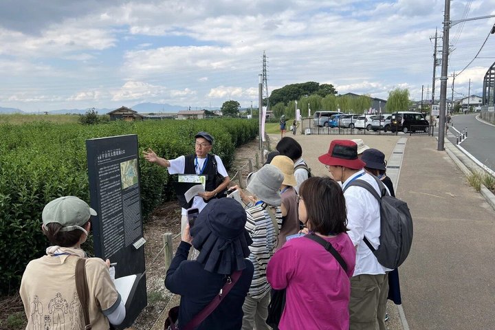 Uji Matcha & Tea Culture Food Tour with Licensed Guide