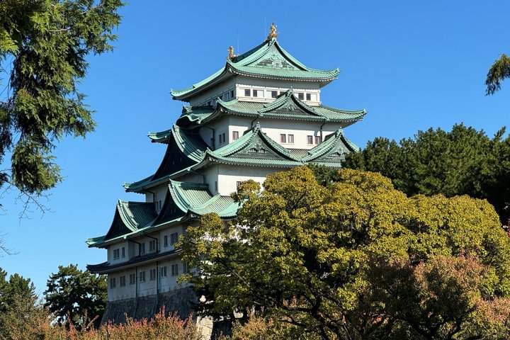 Nagoya: Tokugawa Garden and Nagoya Castle Samurai Heritage Tour