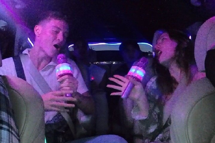 San Diego Karaoke Party Ride Private Karaoke