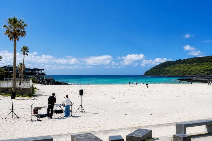 Jeju Private Car Charter Tour