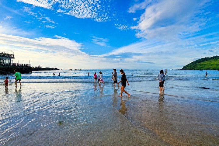 Jeju Private Car Charter Tour