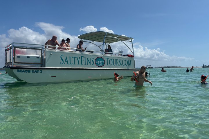 Shell Island Snorkel And Dolphin Sightseeing