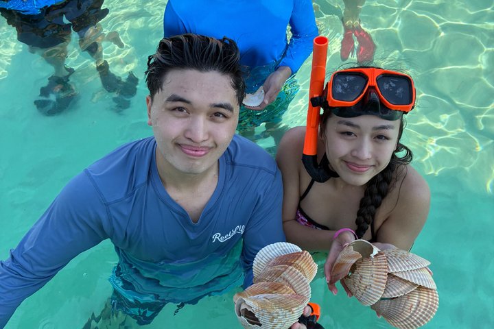 Shell Island Snorkel And Dolphin Sightseeing