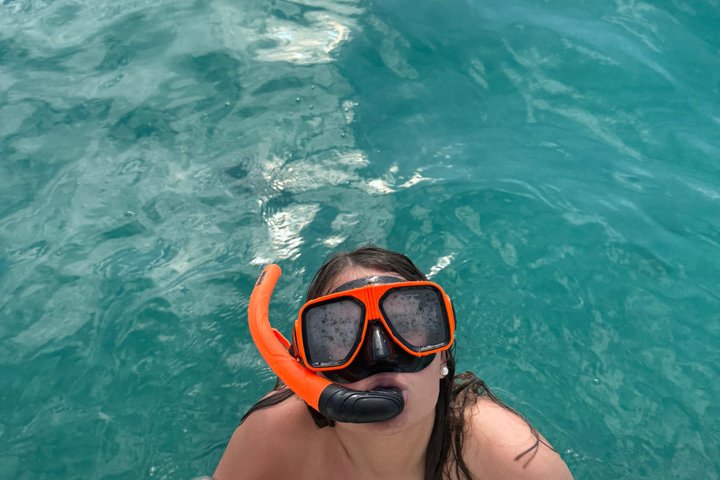 Shell Island Snorkel And Dolphin Sightseeing