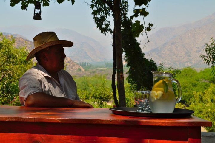 CAFAYATE Wine and Nature, Regional Lunch in El Divisadero