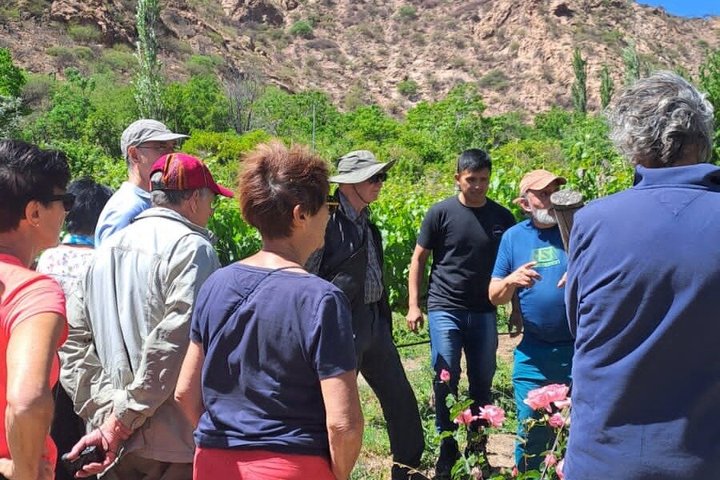 CAFAYATE Wine and Nature, Regional Lunch in El Divisadero