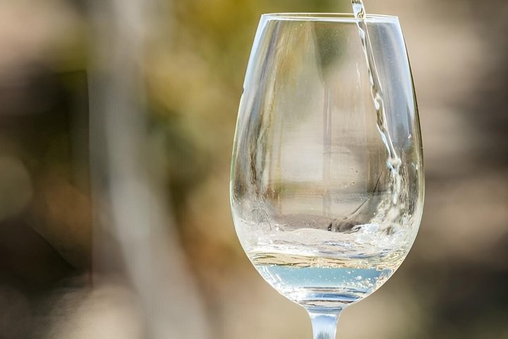 CAFAYATE Wine Tour Wine Trails Winery Visit