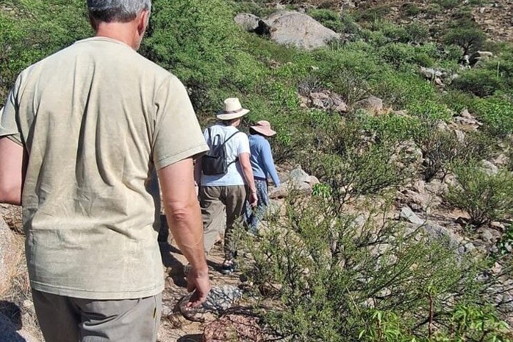 CAFAYATE Walk through the places and Kilometer of Stories