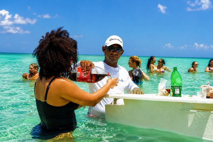 Saona Island Day Trip From Punta Cana with Lunch and Open Bar