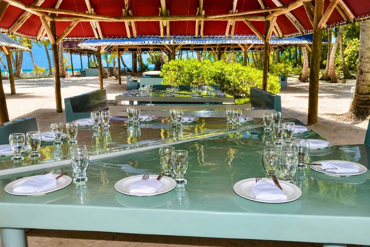 Saona Island Day Trip From Punta Cana with Lunch and Open Bar