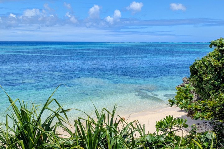 Northern Okinawa Private tour with licensed interpreter guide
