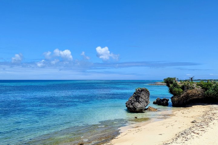 Northern Okinawa Private tour with licensed interpreter guide