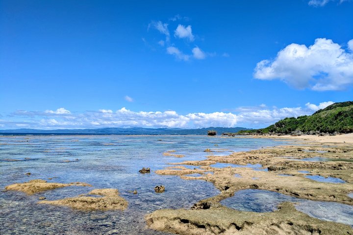 Northern Okinawa Private tour with licensed interpreter guide