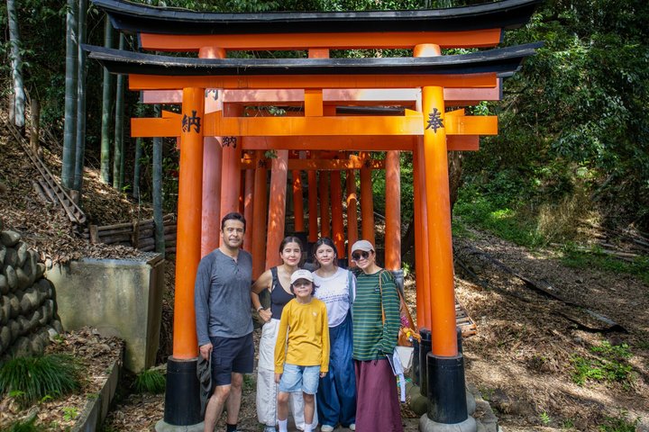 Shore excursion: PrivateFull Day Kyoto Tour From Osaka/Kobe Port