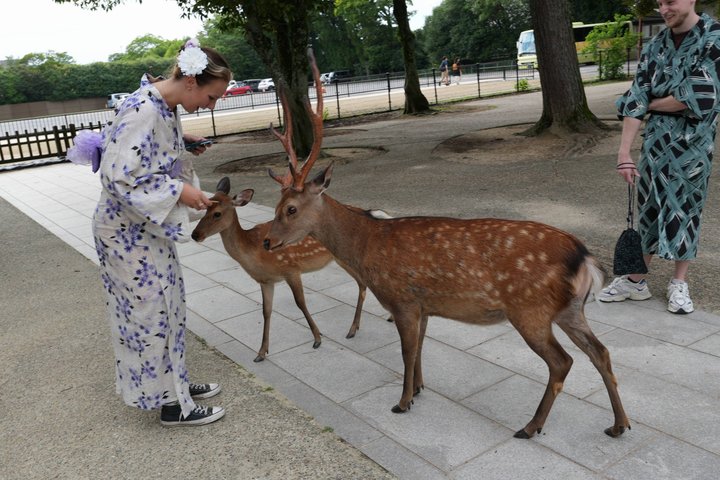 Arashiyama & Nara Highlights: One-Day Private Tour Adventure