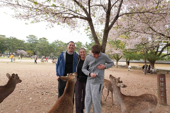 Arashiyama & Nara Highlights: One-Day Private Tour Adventure