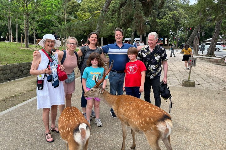 Arashiyama & Nara Highlights: One-Day Private Tour Adventure