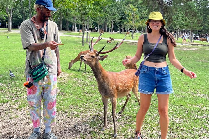 Arashiyama & Nara Highlights: One-Day Private Tour Adventure
