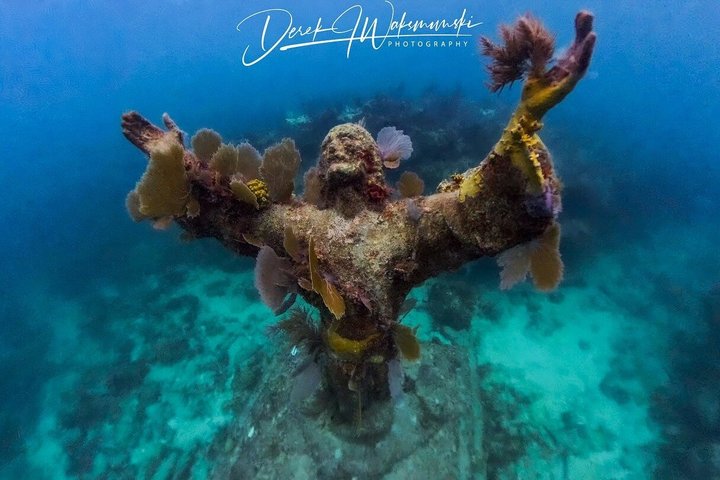 Half Day Snorkel Trip on Reefs in the Florida Keys