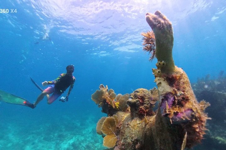 Half Day Snorkel Trip on Reefs in the Florida Keys