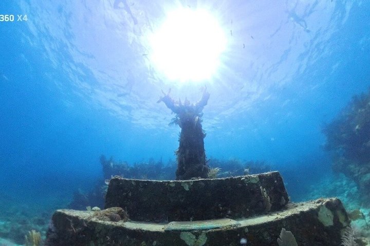 Half Day Snorkel Trip on Reefs in the Florida Keys
