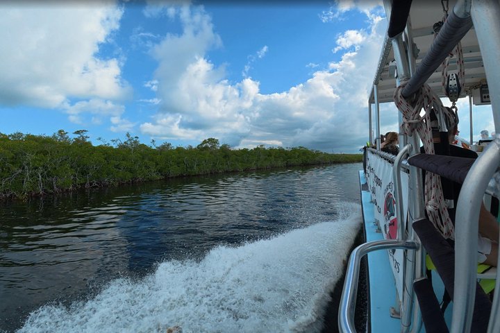 Half Day Snorkel Trip on Reefs in the Florida Keys