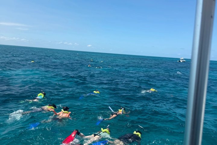 Half Day Snorkel Trip on Reefs in the Florida Keys