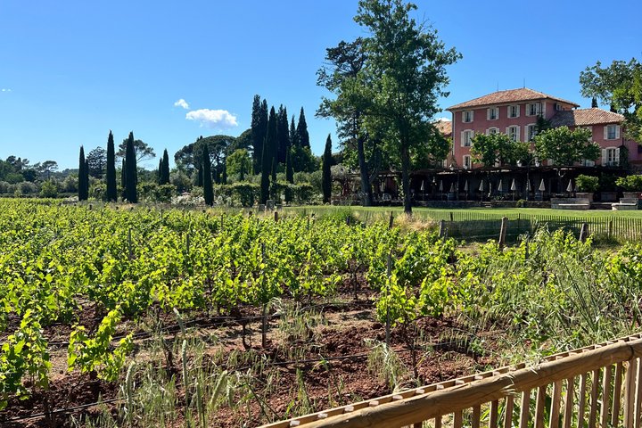 Private Luxury Wine Tour in Saint-Tropez and Provence