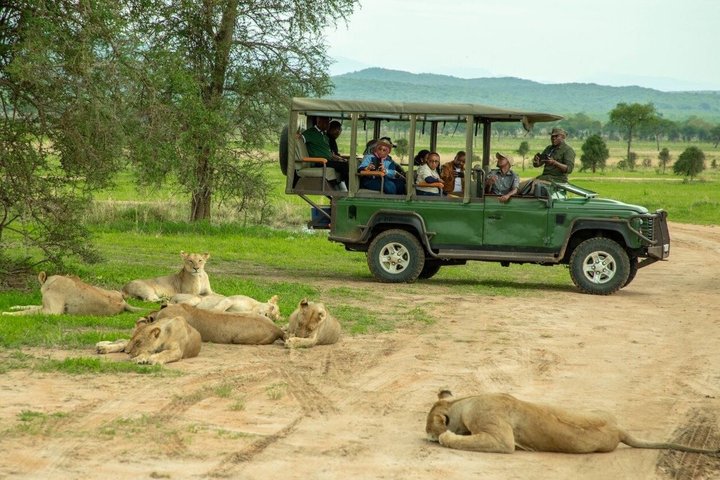 4 Day Tanzania Big Five Wildlife Safari Adventure
