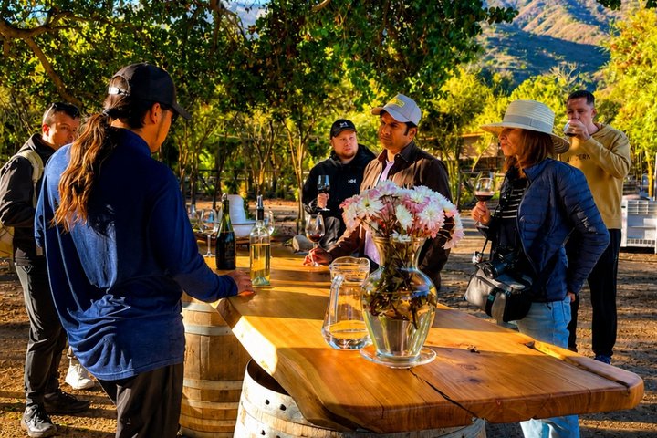 4 Exclusive & boutique wineries in Casablanca - Tanino Restaurant