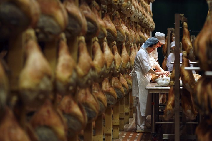 From Parma: Parmigiano,Prosciutto and winery Tour and tasting