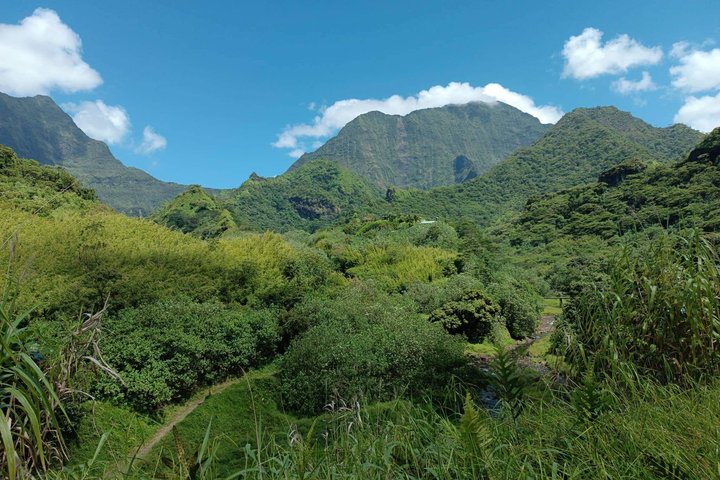 Tahiti Safari Islander 4x4 Discovery, Expedition, Adventure