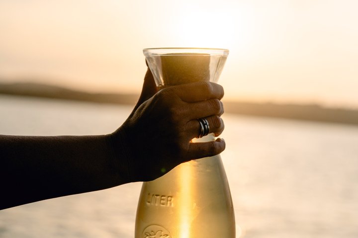 Brijuni National Park Dolphin Sunset Tour | DINNER & DRINKS