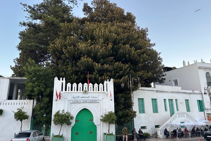 Luxury Private Tour in Tangier 5 hours with camel ride